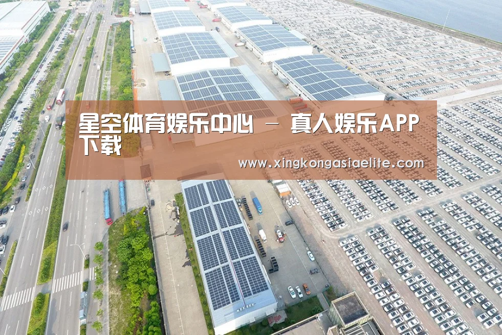 案例展示四