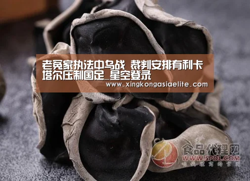 老冤家执法中乌战 裁判安排有利卡塔尔压制国足_星空登录(图4) 星空登录