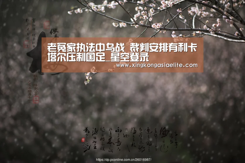 老冤家执法中乌战 裁判安排有利卡塔尔压制国足_星空登录(图2) 星空直播