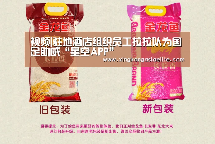 视频|驻地酒店组织员工拉拉队为国足助威“星空APP”(图4) 星空APP